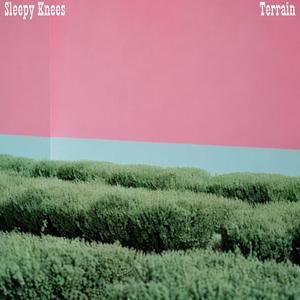 Terrain