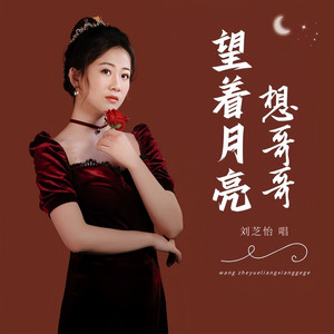 望着月亮想哥哥