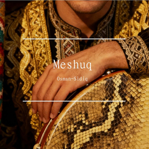 Meshuq-活力版