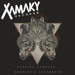 Zapping Samples (Original Mix)