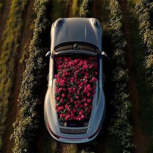 我只听到我自己