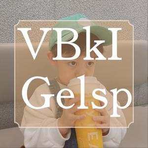 VBkI Gelsp