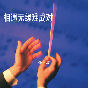 相遇无缘难成对