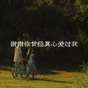 谢谢你曾经真心爱过我