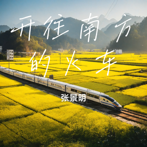 开往南方的火车