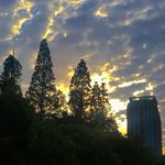 学不会 专辑封面