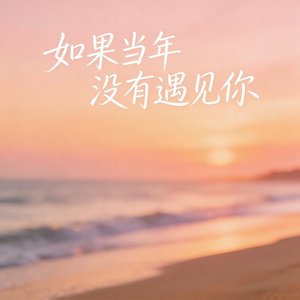 如果当年没有遇见你