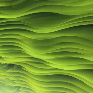 想问你又不敢问