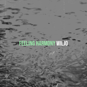 Feeling Harmony