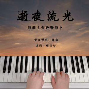 逝夜流光（钢琴弹唱）（翻自 手嶌葵）