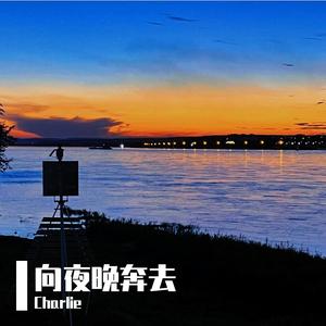 向夜晚奔去（中文填词调教：Charlie. Cover：ACE虚拟歌姬火涟）