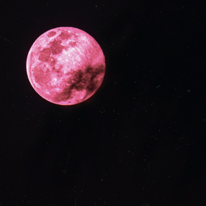Luna rosa
