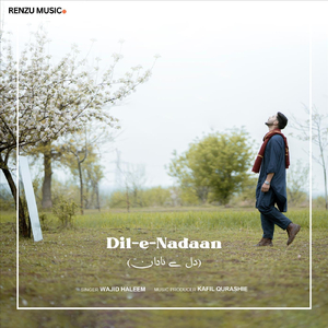 Dil E Nadaan