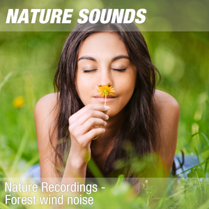 Nature Sounds for Sleeping, Relaxing Exercises & Acupressure (Soothing forest, wind) 13