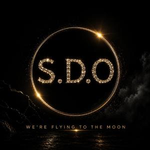 WE'RE FLYING TO THE MOON