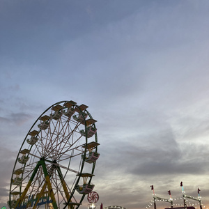 Fall Down.wav (2023 Remastered Version)