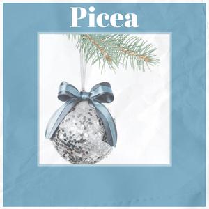 Picea