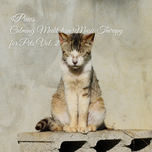 Deep Breathing Exercises