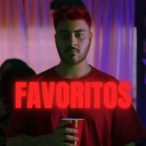 Favoritos