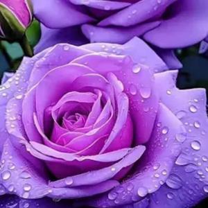 I Know You Can See It, Too