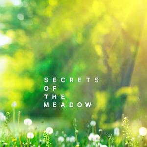 Secrets of The Meadow