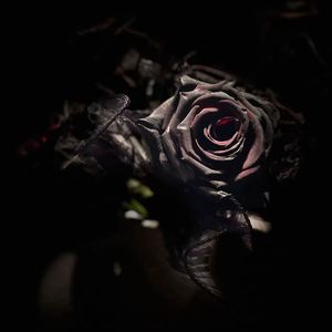 蓝泪Blue tears（prod，No Birthday）