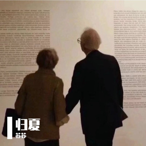 归夏（Prod.RAY&VVSMELODY）