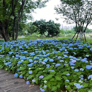 今年冬天一起去海边看雪吧