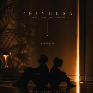 Princesa (Radio Edit)