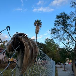 Pretty Godzilla (feat. Jeff Fettig)