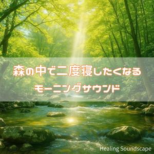 眠気を誘う朝の森