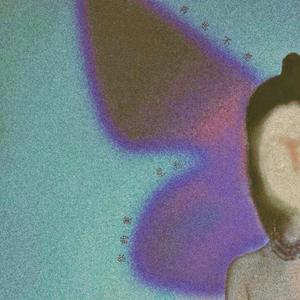 再也不想见到你的美