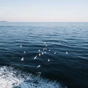 梁山伯与茱丽叶