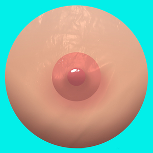 Bestemmierò