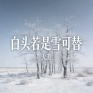 白头若是雪可替