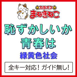 恥ずかしいか青春は（カラオケ）[Originally Performed By 緑黄色社会]