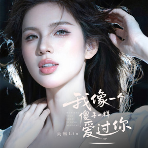 我像一个傻子一样的爱过你(DJ豪大大版）升调版