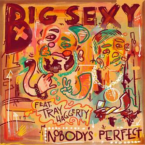 Nobody's Perfect (feat. Tray Haggerty)
