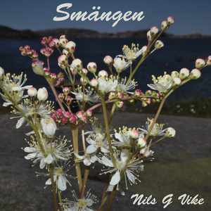 Gullviva, kattfot och en gök