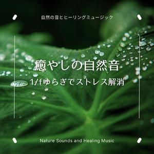 現代人のストレスを洗い流す