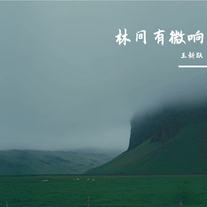 凉月照归路