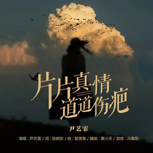 片片真情道道伤疤（DJ版）
