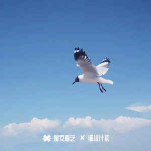 再也不回头