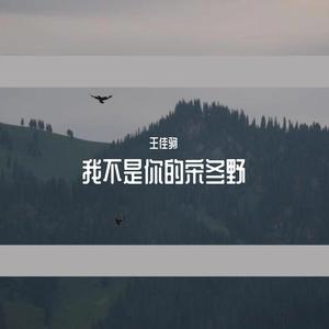 我不是你的宋冬野