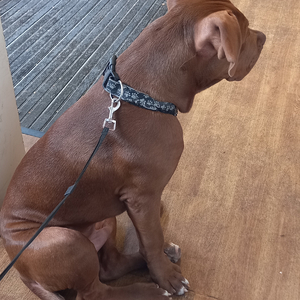 JIGGA J (My Town) (Radio Edit)