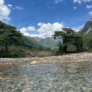 斑马斑马