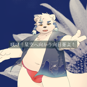 咲け！星空へ向かう向日葵よ！