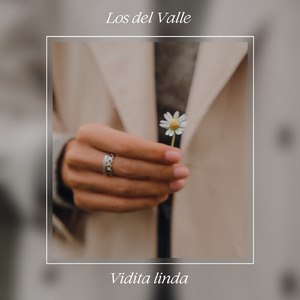 Llorando te Vi