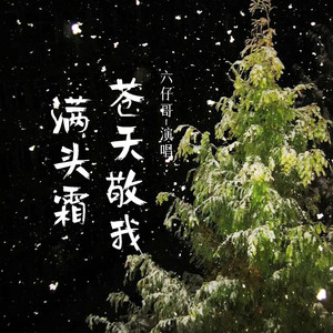 苍天敬我满头霜