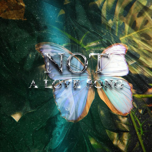 Not a Love Song